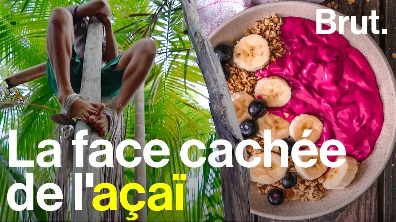 Ce qui se cache derrière votre bowl d’açaï - Brut en Amazonie - YouTube