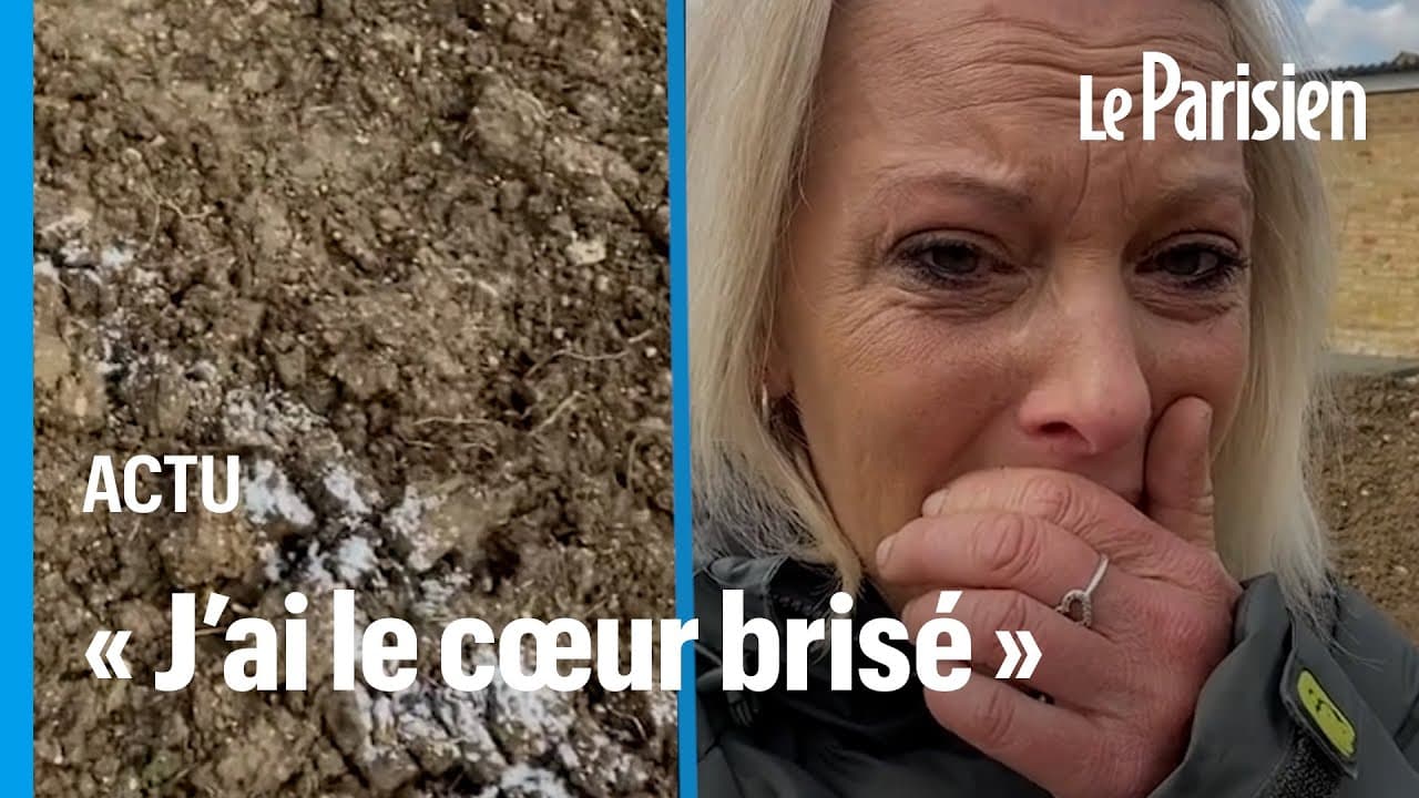 Son potager permettait de nourrir 1600 personnes, immense élan de solidarité après sa destruction - YouTube