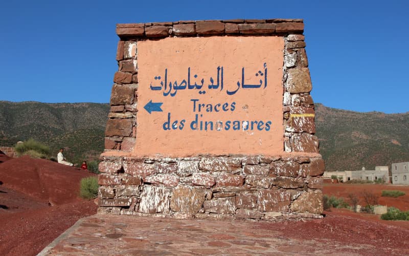 Une polémique autour des fossiles marocains exposés en Suisse